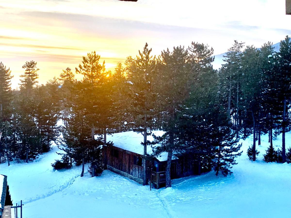 Entire Private Apartment In Pirin Golf & Country Club Bansko Exteriör bild