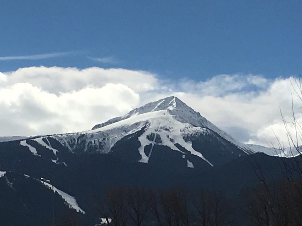 Entire Private Apartment In Pirin Golf & Country Club Bansko Exteriör bild